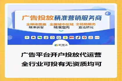 解析某某SEM服务公司的广告投放策略与效果评估